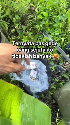 #petanimuda #petanisawit #kulisawit #bosmuda #foryoupagе 