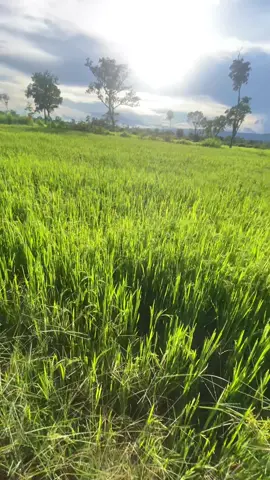 #កន្លែងដែលមានក្តីសុខបំផុតសម្រាប់ញុម😍