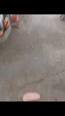 #CapCut 
