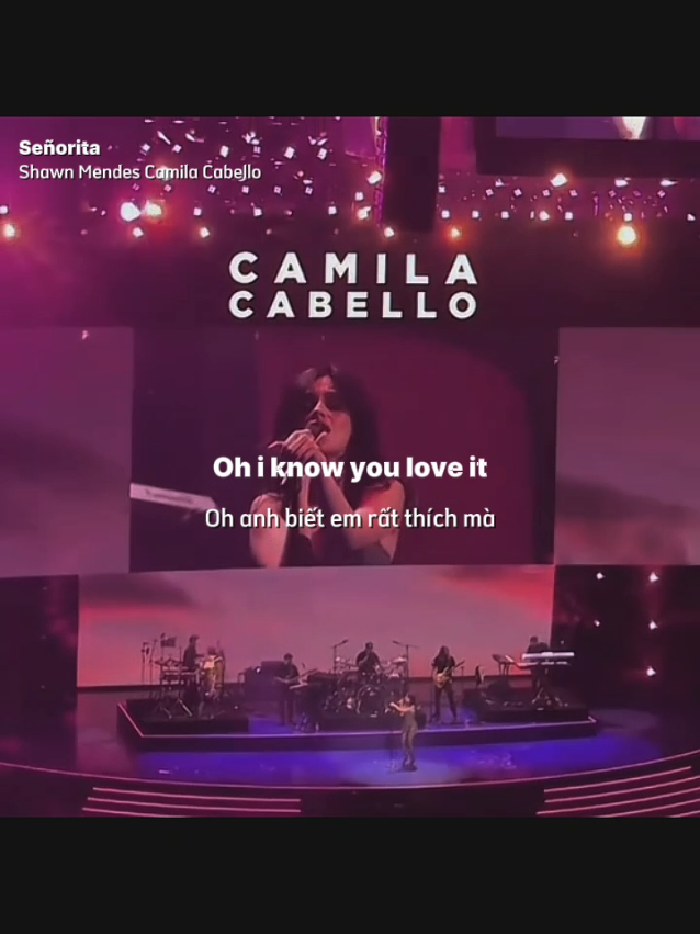 Senorita breakup version #senorita #camilacabello #shawnmendes #lyrics 