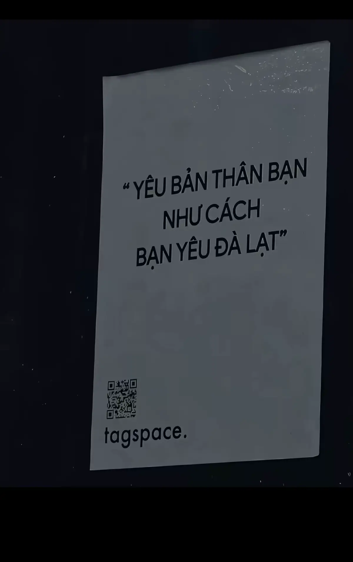 “Người đồng hành lâu nhất không phảo là người đến sớm, mà là người ở lại khi mọi thứ không còn dễ dàng như lúc ban đầu”🤍 #xuhuong #viral #vivudalat🌲🌲🌲 #dalatstory 