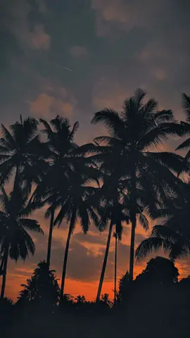 Senja