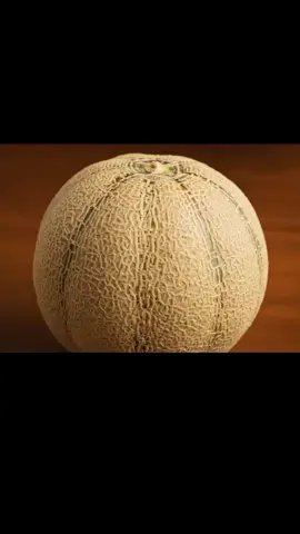 Sweetest surprise inside a cantaloupe 🍈🐾#CantaloupeCat #FruitAndFur #KittenSurprise #CutenessOverload #TinyPaws   