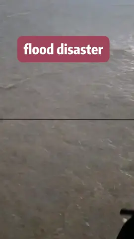 flood disaster#flood