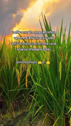 আনি অন্যের টা দেখে কোনোদিন আফসোস করি না #fouyourpage #viralvideo #বগুড়া 