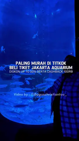 Wow! Lagi ada promo dah cashback ke Jakarta aquarium! #GOAcademyAtraksi #JelajahAkhirPekan #HealingBarengKeluarga #JakartaAquarium 