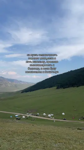 #рекомендации 