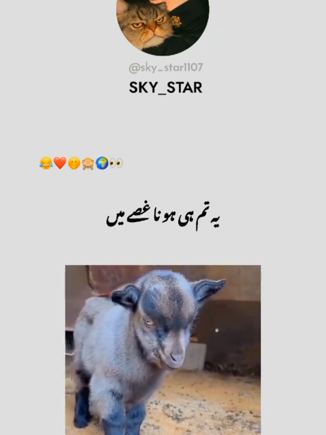 please tiktok team unfreezemyaccount 💔🙌🏻 #foryou #fypシ゚viral #viralvideo #funnypoetry #viewsproblem 