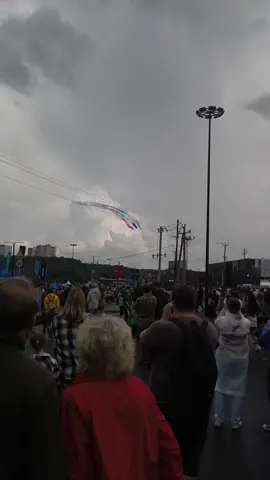 Пилотажная группа 