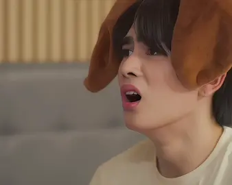 beagle🥹🤏 #santapongsapak #santapp #perthsanta #perfect10liners #fyp 
