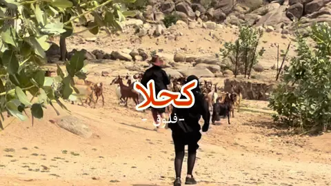 فلوق بسيط خفيف #كحلا #جنوب_المملكه #فلوقات_لُجين #ريف 