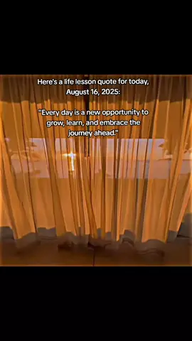 #fypシ゚viralシfypシ゚viralシalシ # Here's a life lesson quote for today, August 16, 2025: 