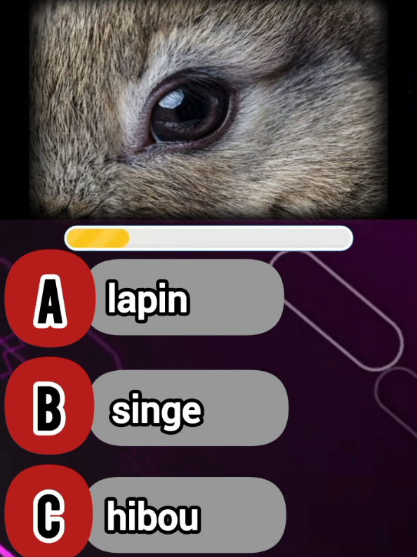 Devinez l'animal par sa patte et les yeux !  #quiz #culture #animal #testreadychic #question 