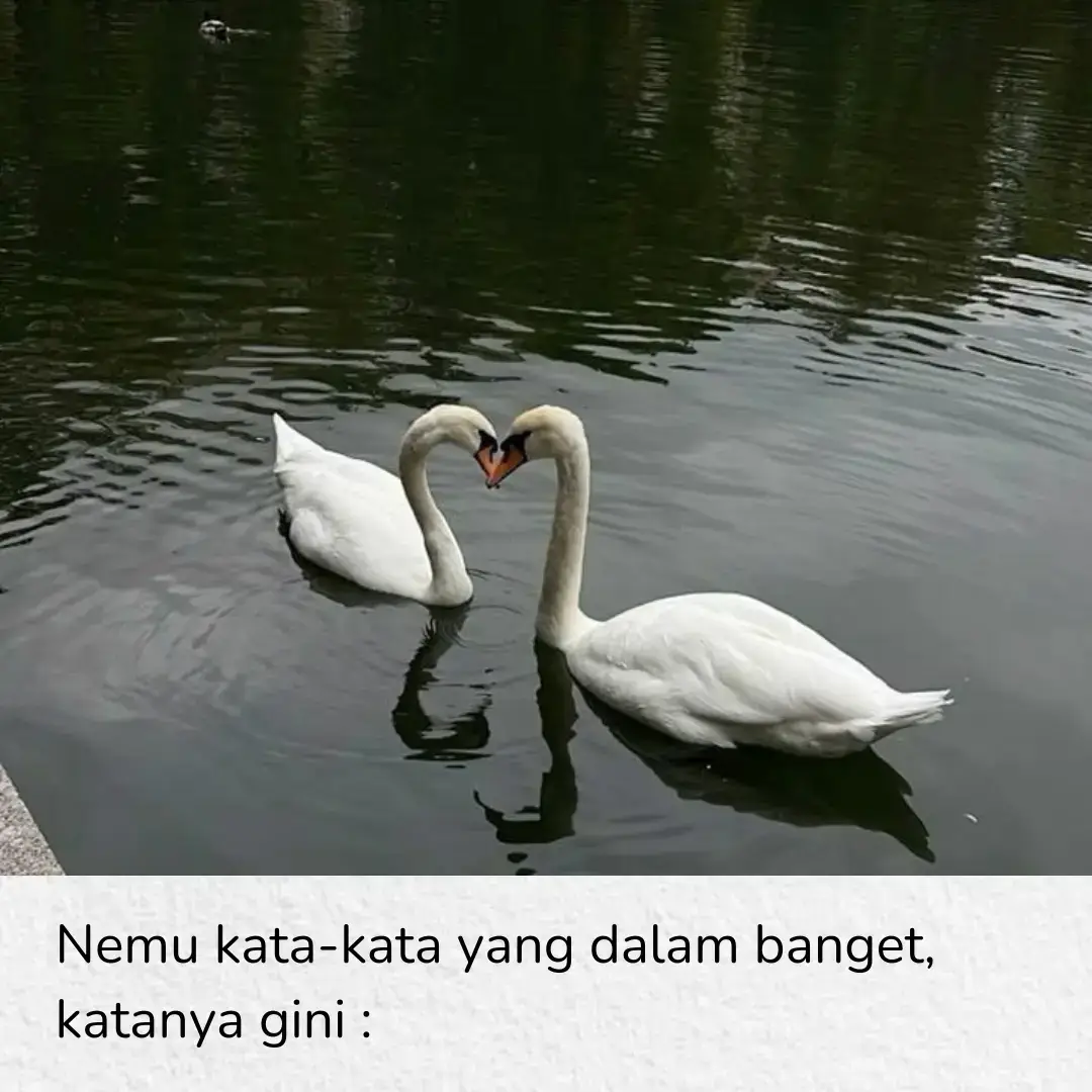 #fyp #beranda #katakata #qoutes #relationships 