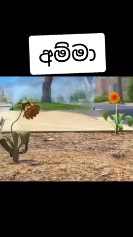 අම්ම ❤️❤️ #mother ❤️