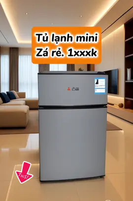 Tủ lạnh mini zá rẻ .#tulanh #xuhuong #tulanhmini #viralvideo #trending 