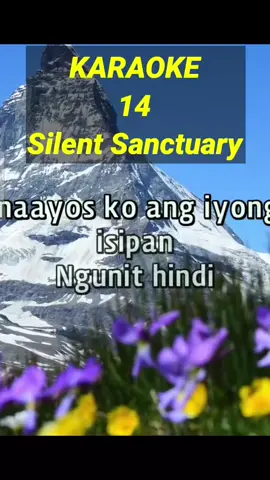 14 by Silent Sanctuary #viral?videotiktok😇😇 #follower #viral #videoke #karaoke 