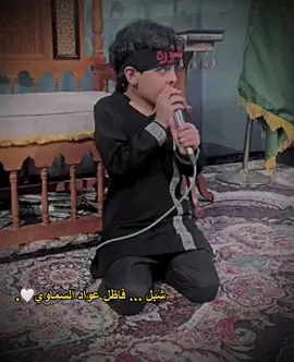 #عباس_فاضل_عواد_السماوي #امجد_كريدي_السماوي #دخولية_موكب_الاحزان #فاضل_عواد_السماوي 