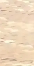 #اكسبلور 