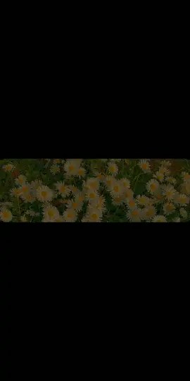 هات هدي الله هات يا نبي المعجزات انشودة(طلع البدر علينا) بصوت مشارى راشد العفاسي اناشيد العفاسي #طلع_البدر_علينا #بصوت_مشاري_العفاسي #اناشيد #العفاسي #مشاهدات 