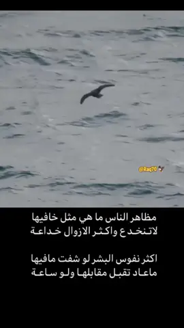 #بوح_شعر_قصيد #ذكريات #InspirationByWords#مواساة#بوح_المشاعر 