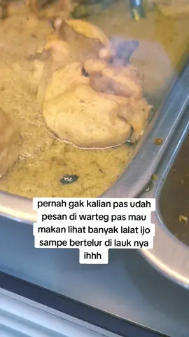 pengalaman pas gue makan mampir di salah satu warteg di tangerang pas udah tinggal mau makan eh malah lihat lauk nya banyak di lalar ijo sampe bertelur di lauk nya , pada saat itu nasi gue gak gua makan wkwkwk langsung bayar .. #lalatbertelurdimakanan #fyp 