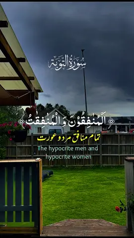 القرآن الکریم #القران_الكريم #القران_الكريم_راحه_نفسية😍🕋  #راحة_نفسية #100 #IslamInEurope                                                                                                       