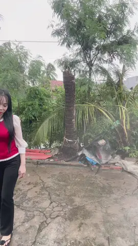 ngày mưa #😊 @Mỹ Nga 