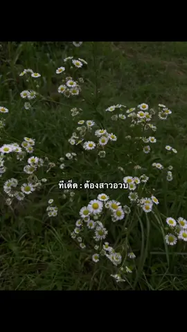 ต้องสาวอวบดิวะ555#เธรดความรู้สึก #เธรดเพลง #ฟีดดดシ 