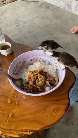 Nuốt muốn trợn con 👀