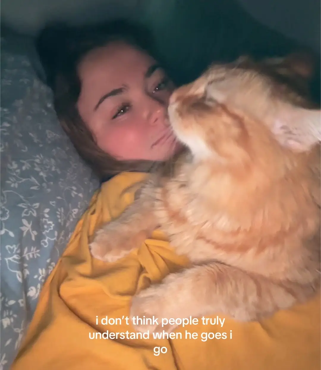 my soul cat
