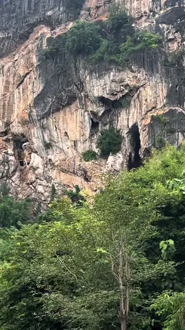 ถ้ำค้างคาวตอน 6โมงเย็น 🦇〰️ #batcave #ถ้ําค้างคาวภูผาม่าน 
