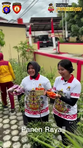 PANEN RAYA PERDANA DITPAMOBVIT Personel Ditpamobvit melakukan panen raya perdana sebagai bagian dari upaya meningkatkan ketahanan pangan nasional. Kegiatan ini sejalan dengan program pemerintah untuk mencapai swasembada pangan. Dalam kegiatan panen raya, personel Ditpamobvit dapat memanen hasil pertanian seperti cabai, terong, dan tomat.  #PanenRayaPerdana #Ditpamobvit #KetahananPangan #PoldaKalteng