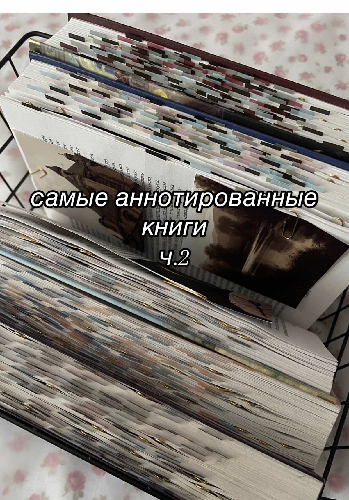 тгк: manaarty 🍁  #книжныйтикток #BookTok #books #книги 