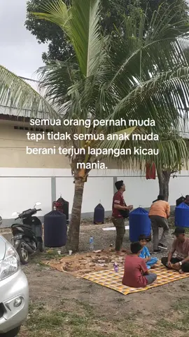 sepele tapi tidak semua berani😁 #kicaumaniaindonesia #kicaumania #muraibatuindonesia #muraibatumania 