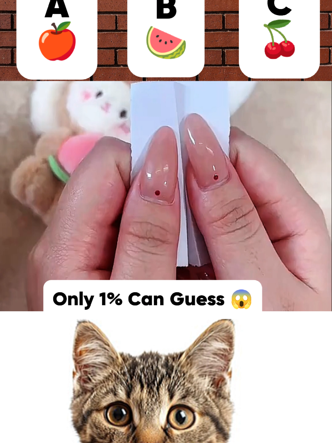 Only Smart People Can See The Right  Number #shorts #cat #bombastic
