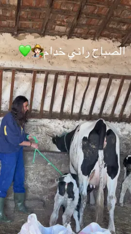 #الشعب_الصيني_ماله_حل😂😂 #الزين_التونسي🇹🇳🔥 #باجة💕🇹🇳 #الفلاحة❤️❤️ # بسم الله مشاء الله ❤️