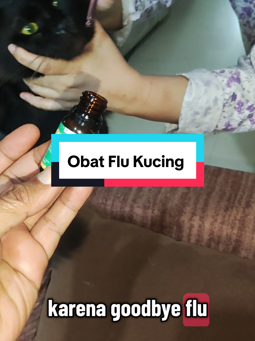 Cek Disini 👉 @Usep Gemoy Bandung Good Bye Flu Obat Batuk dan Flu Kucing murah dan ampuh  #goodbyeflu #obatflukucing #kucingsehat #catlover 