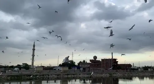 #مشاهدات100مليون 