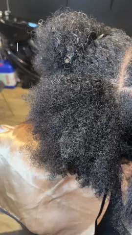 Do some 2 stand twist on natural hair with me#houstonhairstylist #pearlandbraider #haircare #viral #braidersontiktok #fyp #fyppppppppppppppppppppppp 