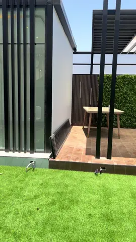 شركة تنفيذ وتنسيق حدائق  وعمل الغرف الزجاجيه ومظلات السيارات والعشب الصناعي ومظلات السيارات والشلالات والنوافير نسعد بخدمتكم#عشب_صناعي #نوافير #شلالات_مودرن #عشب_صناعي #جلسات_زجاجية 