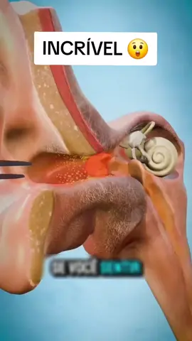 Não use cotonetes antes de assistir esse vídeo 
