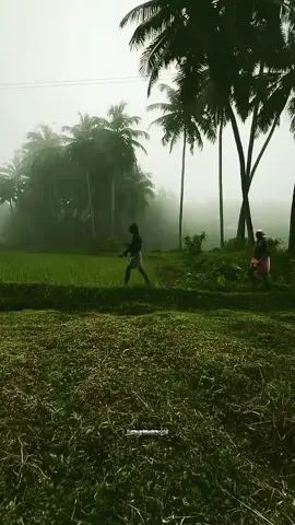 farmer life video ar rahman music  #sadbgmtamil #villagelife #nature #countrylife #tamilsongs 