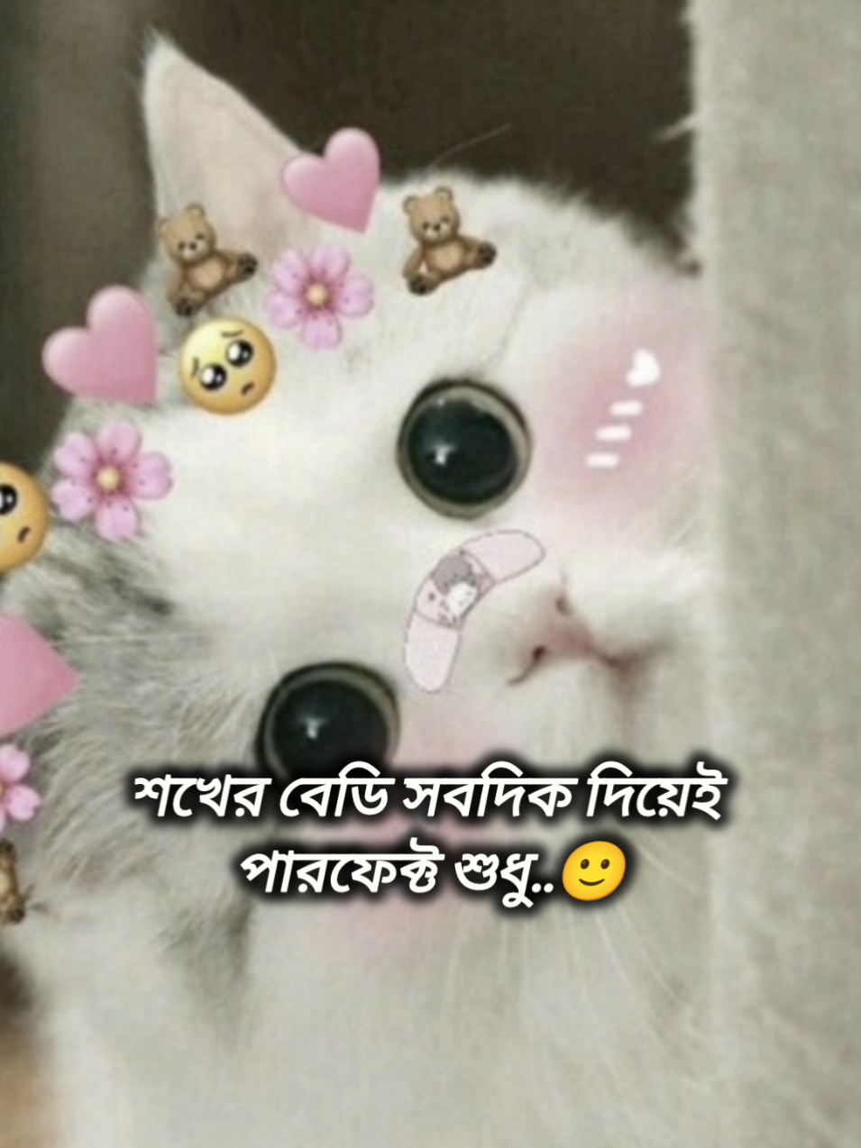 মেনশন করুন আপনার সেই তারছিরাকে #tiktokofficialbangladesh #foryou #tiktokforyou #ইনশাআল্লাহ_যাবে_foryou_তে #এবার_তো_ভাইরাল_করে_দাও  