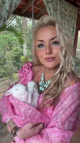 GOOD MORNING ALL #bunniesmom #bunnies #mybabies 