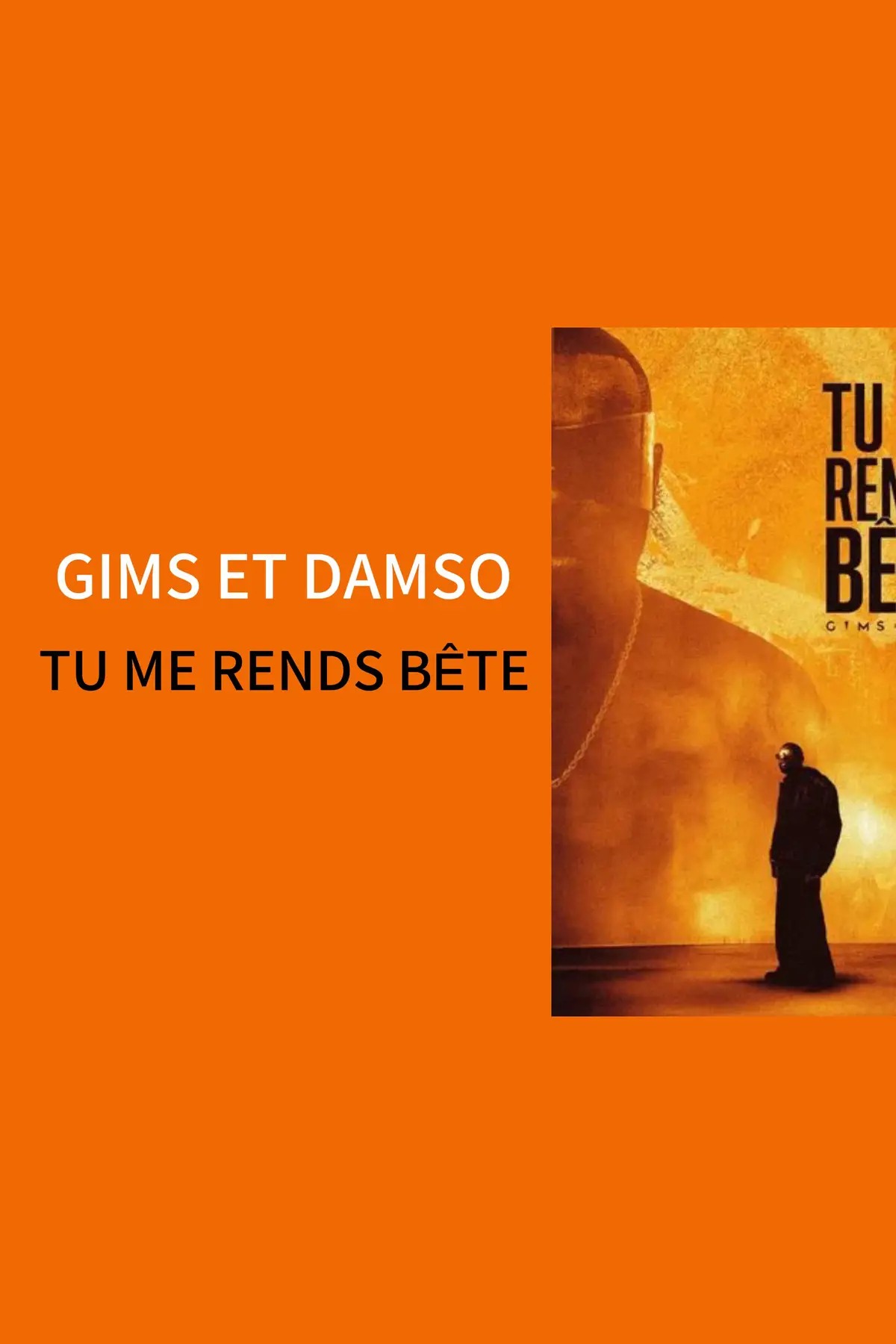 @Gims / DAMSO - #tumerendsbete #musique #gims #damso #gimsdamso 