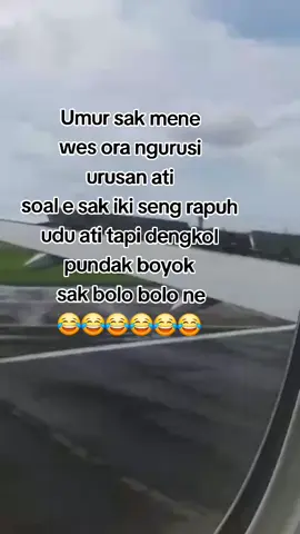 jan bener tenan bolo 