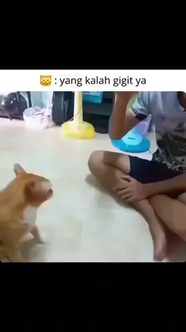 😸
