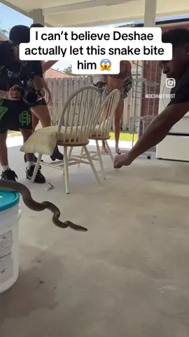 I can’t believe Deshae let this snake bite him 😱 @Deshae Frost #deshaefrost #fearfactor #twitch #fyp #clips 