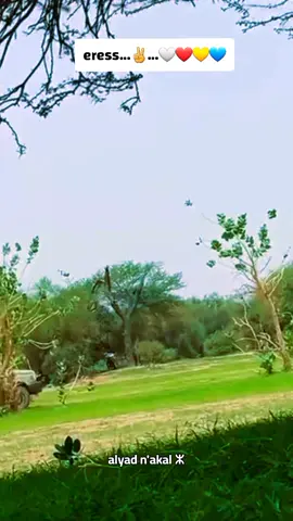 #azawad #🫡✌️#🤍❤️💛💙 